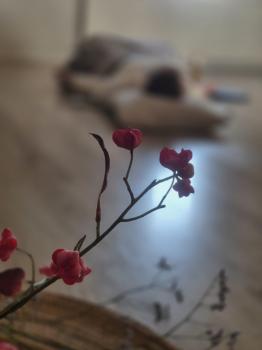 Ademmiddag Liquid Breath